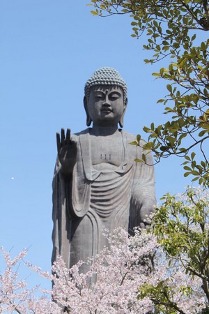 Chùm ảnh Đại tượng Phật A Di Đà Japan một trong những pho tượng lớn nhất thế giới