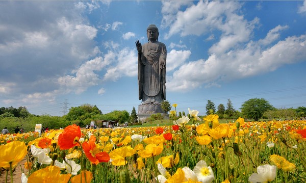 Chùm ảnh Đại tượng Phật A Di Đà Japan một trong những pho tượng lớn nhất thế giới