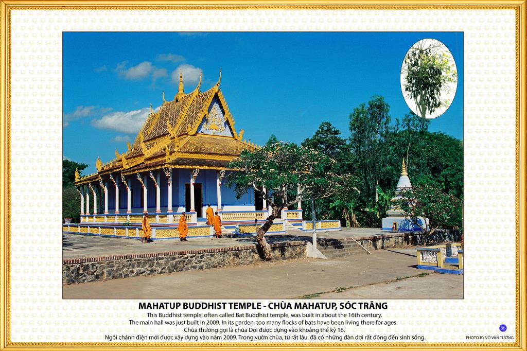 32 Ảnh Ngôi Chùa Việt Nam Tại Hoa Kỳ - 2015