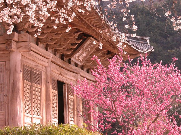 Hàn Quốc: Chùm ảnh ngôi Già lam Cổ Tự Naesosa tỉnh Jeollabuk-do