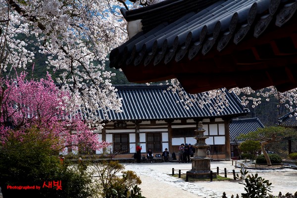 Hàn Quốc: Chùm ảnh ngôi Già lam Cổ Tự Naesosa tỉnh Jeollabuk-do
