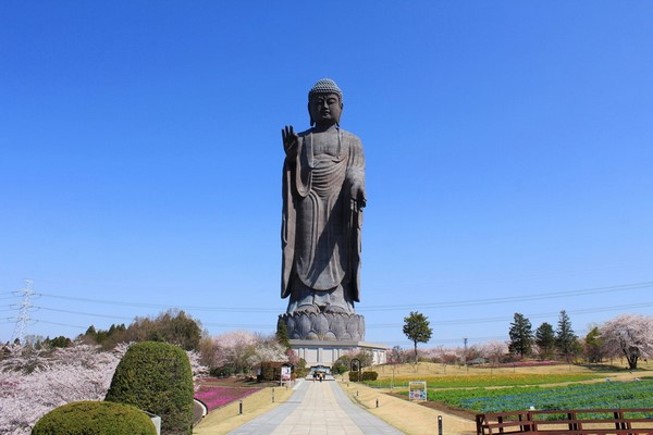 Chùm ảnh Đại tượng Phật A Di Đà Japan một trong những pho tượng lớn nhất thế giới