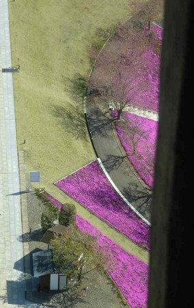 Chùm ảnh Đại tượng Phật A Di Đà Japan một trong những pho tượng lớn nhất thế giới