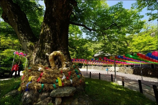Hàn Quốc: Chùm ảnh ngôi Già lam Cổ Tự Naesosa tỉnh Jeollabuk-do