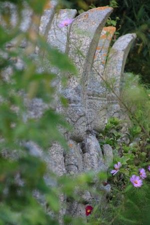 Hàn Quốc: Chùm ảnh hoa Vũ Trụ