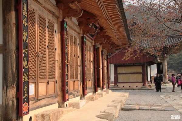 Hàn Quốc: Chùm ảnh ngôi Già lam Cổ Tự Naesosa tỉnh Jeollabuk-do