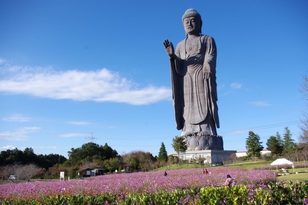 Chùm ảnh Đại tượng Phật A Di Đà Japan một trong những pho tượng lớn nhất thế giới