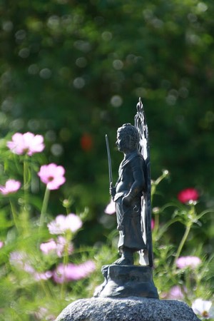 Hàn Quốc: Chùm ảnh hoa Vũ Trụ