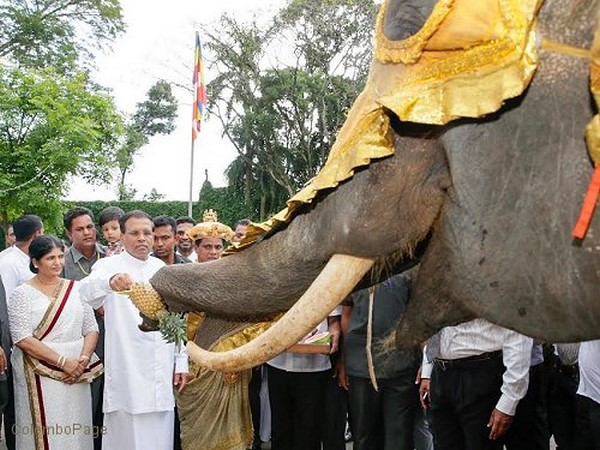 Tổng thống Sri Lanka vui mừng lễ hội Esala Perahera thành công viên mãn