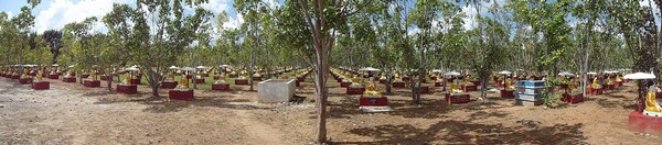 Chùm ảnh Danh lam Thắng tích Maha Bodhi Tahtaung Myanmar nổi tiếng thế giới