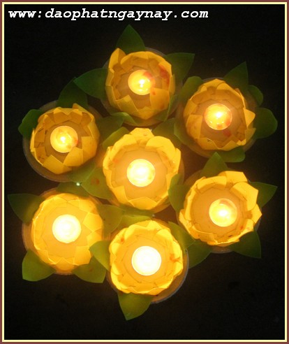 Đồng Nai: Đêm hội trung thu 2015 tại Thiền Viện Phước Sơn