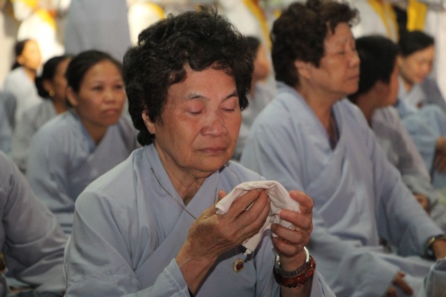 Thái Bình: Đêm hội bông hồng cài áo tại chùa Từ Xuyên
