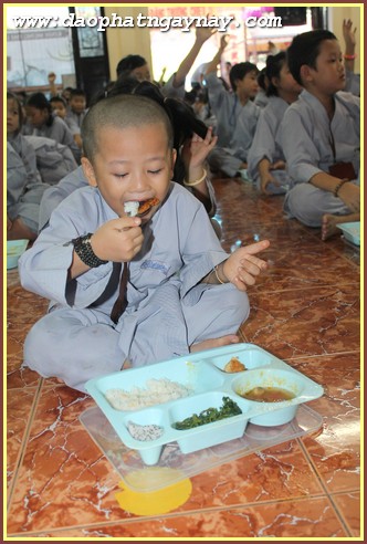 TP.Hồ Chí Minh: Gieo Hạt Từ Tâm - Kì 41 &quot;Chủ Đề: Con Yêu Ba, Con Yêu Mẹ!&quot;