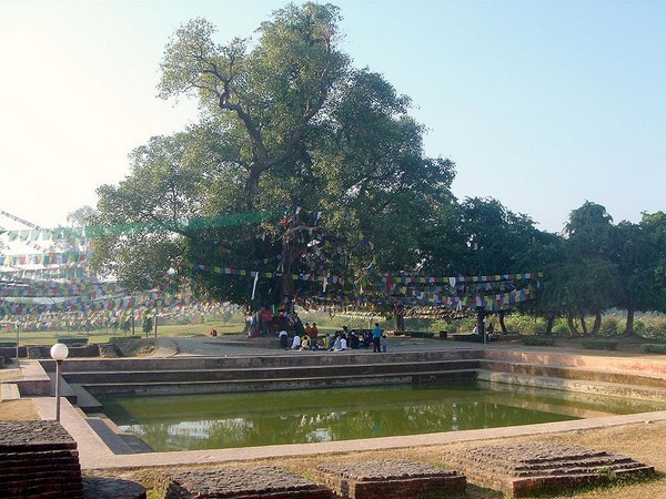 Tìm Lại Dấu Vết Vườn Lâm Tỳ Ni