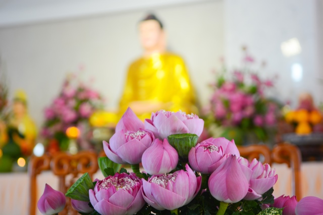 Ấm áp và ý nghĩa trong lễ hằng thuận tại chùa Giác Ngộ