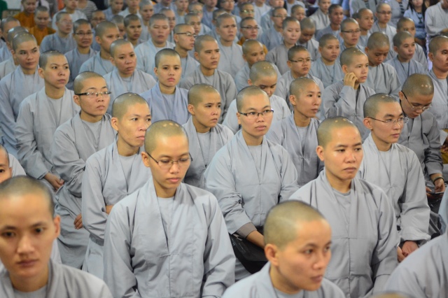 Quỹ Đạo Phật Ngày Nay tặng trên 200 xuất học bổng cho Tăng Ni năm học 2015-2016
