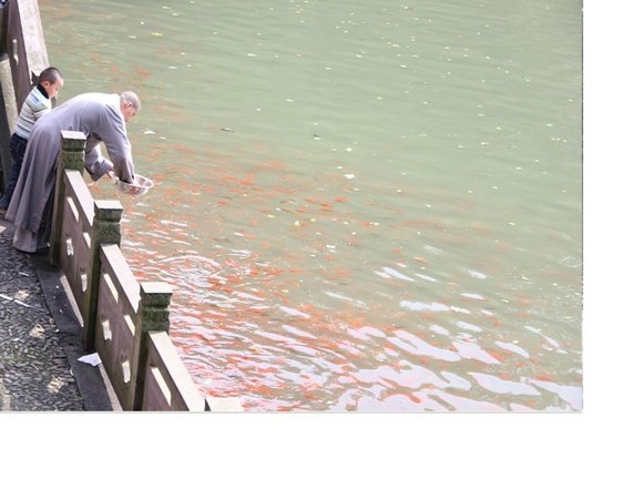 Trung Quốc: Danh lam thắng tích Thiên Đồng Thiền Tự,tỉnh Chiết Giang