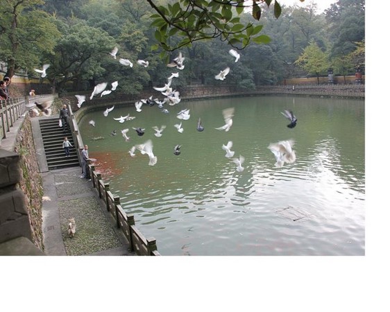 Trung Quốc: Danh lam thắng tích Thiên Đồng Thiền Tự,tỉnh Chiết Giang