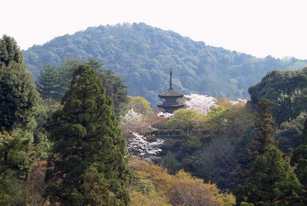 Nhật Bản: Chùm ảnh Ngôi Già lam Phật địa Kiyomizudera