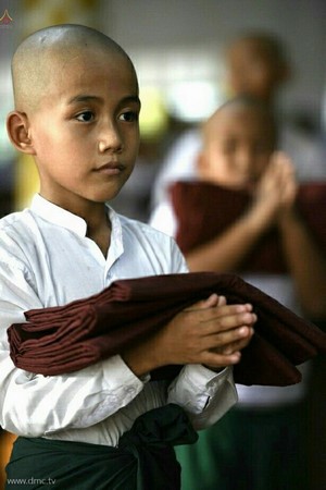 Chùm ảnh Lễ xuất gia gieo duyên thành phố Dawei, Đông Nam Myanmar.