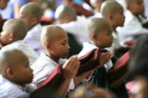 Chùm ảnh Lễ xuất gia gieo duyên thành phố Dawei, Đông Nam Myanmar.