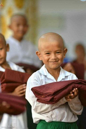 Chùm ảnh Lễ xuất gia gieo duyên thành phố Dawei, Đông Nam Myanmar.
