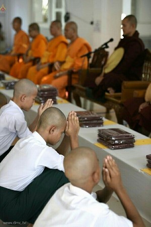 Chùm ảnh Lễ xuất gia gieo duyên thành phố Dawei, Đông Nam Myanmar.