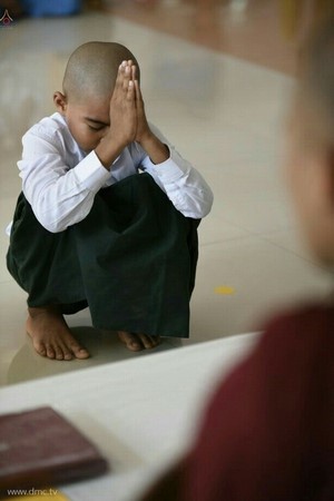 Chùm ảnh Lễ xuất gia gieo duyên thành phố Dawei, Đông Nam Myanmar.