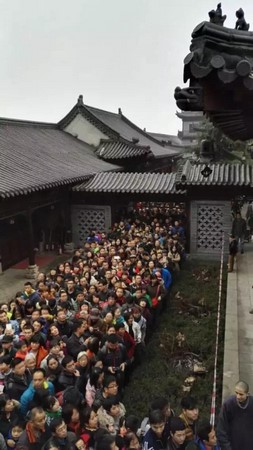 Trung Quốc: Vẻ đẹp mùa Thu Cổ thụ Bạch Quả nghìn năm tuổi tại Quan Âm Thiền Tự