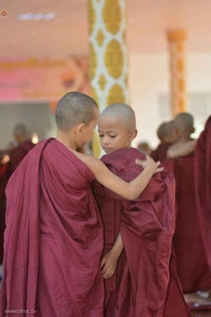 Chùm ảnh Lễ xuất gia gieo duyên thành phố Dawei, Đông Nam Myanmar.