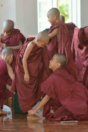 Chùm ảnh Lễ xuất gia gieo duyên thành phố Dawei, Đông Nam Myanmar.