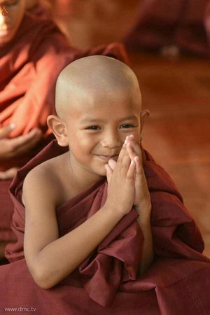 Chùm ảnh Lễ xuất gia gieo duyên thành phố Dawei, Đông Nam Myanmar.