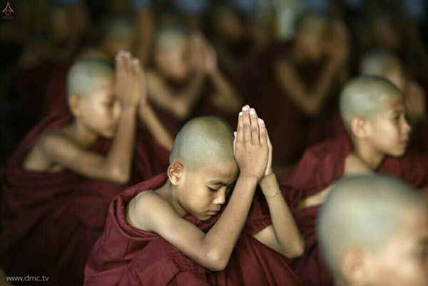 Chùm ảnh Lễ xuất gia gieo duyên thành phố Dawei, Đông Nam Myanmar.