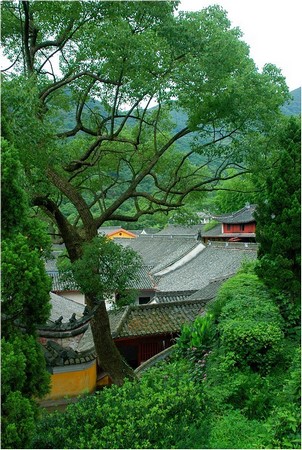 Trung Quốc: Danh lam thắng tích Thiên Đồng Thiền Tự,tỉnh Chiết Giang