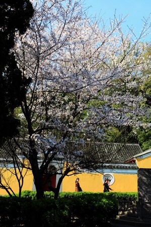 Trung Quốc: Danh lam thắng tích Thiên Đồng Thiền Tự,tỉnh Chiết Giang