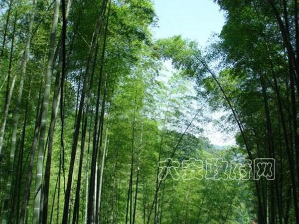 Danh lam thắng cảnh Vân Phong Thiền Tự đệ nhị Đạo tràng Địa Tạng