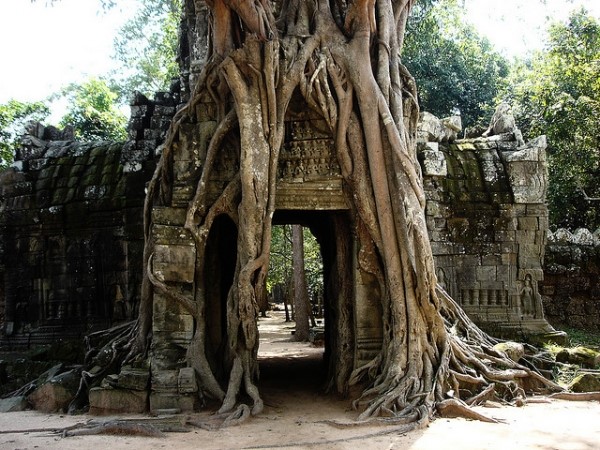 Kiến trúc mới được phát hiện Đề nghị Angkor Wat lớn hơn theo suy nghĩ trước đây