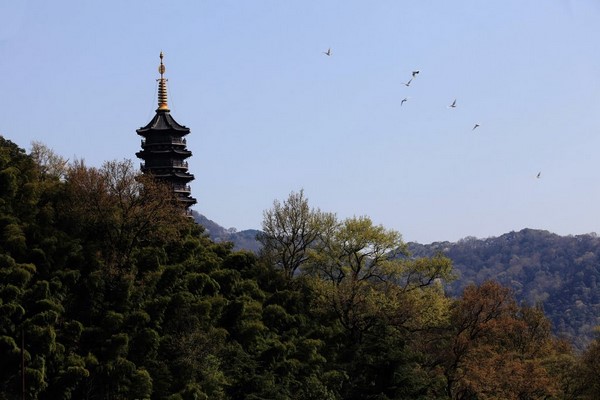 Trung Quốc: Danh lam thắng tích Thiên Đồng Thiền Tự,tỉnh Chiết Giang