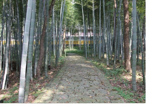 Trung Quốc: Danh lam thắng tích Thiên Đồng Thiền Tự,tỉnh Chiết Giang