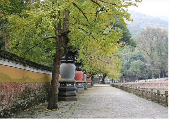 Trung Quốc: Danh lam thắng tích Thiên Đồng Thiền Tự,tỉnh Chiết Giang