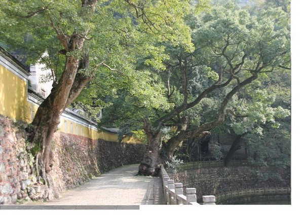 Trung Quốc: Danh lam thắng tích Thiên Đồng Thiền Tự,tỉnh Chiết Giang