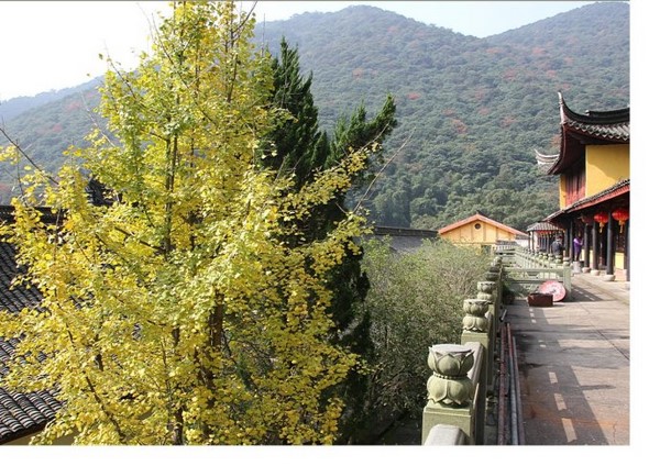 Trung Quốc: Danh lam thắng tích Thiên Đồng Thiền Tự,tỉnh Chiết Giang