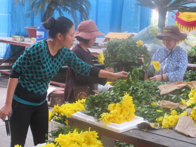 Thái Bình: Công tác chuẩn bị Đại lễ vía Phật Di Đà tại chùa Từ Xuyên