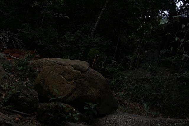 Quảng Ninh: Lễ tưởng niệm 707 năm Phật hoàng Trần Nhân Tông nhập niết bàn