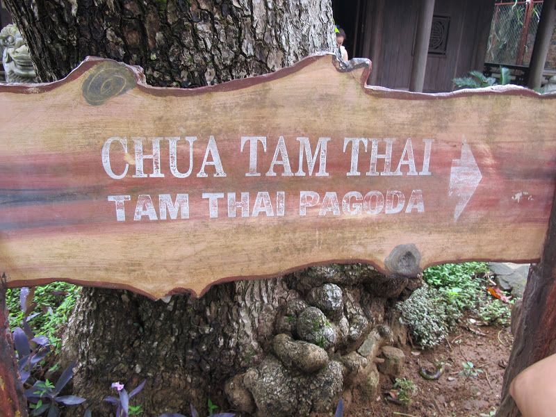 Phát triển du lịch tâm linh Phật  giáo tại Đà Nẵng tiềm năng và giải pháp