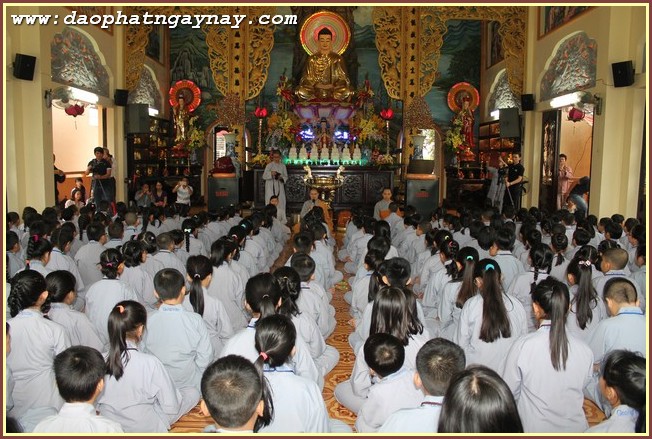Gieo Hạt Từ Tâm kì 44
