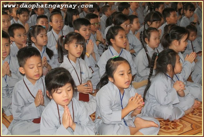 Gieo Hạt Từ Tâm kì 44
