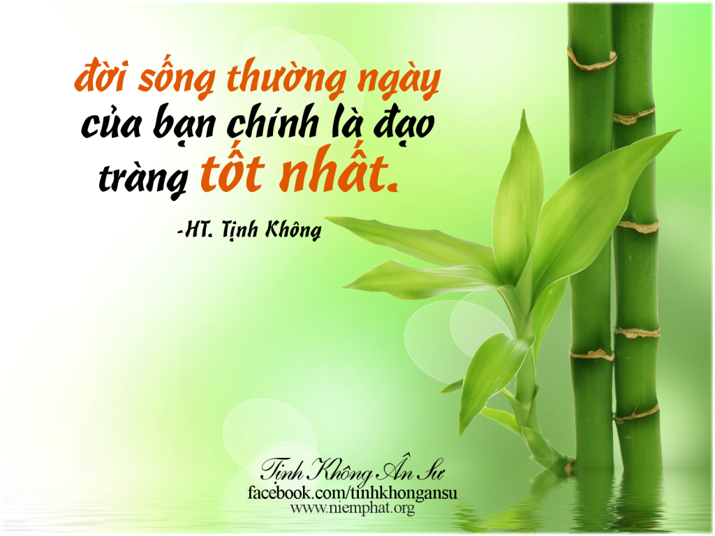 BẤT MÃN NHƯNG PHẢI TÙY DUYÊN