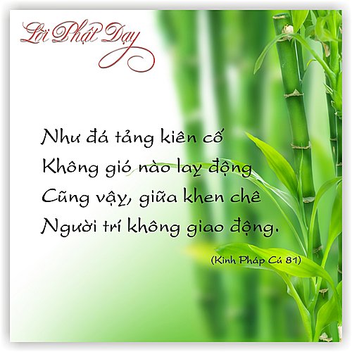 Cuộc đời