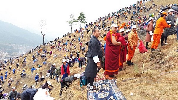 Bhutan: Chúc Phúc Cát tường cho Hoàng tử hạ sinh bằng cách trồng 108.000 cây xanh